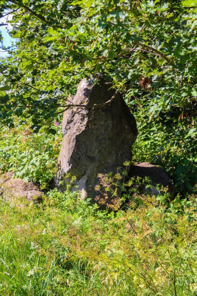 Wallreste Grenzanlage