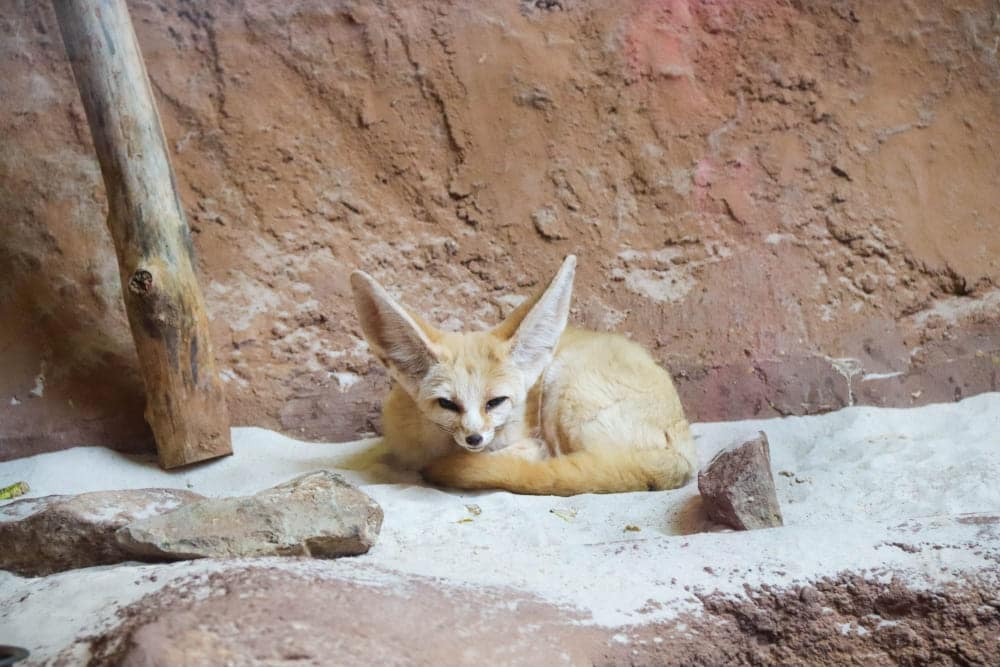 Zoo Erfurt Besuch