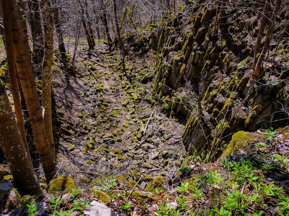 Alter Steinbruch mit Basaltprismen