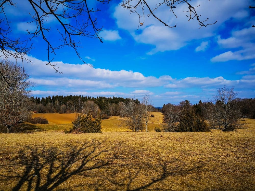 Hochgehhütet - Aufstieg