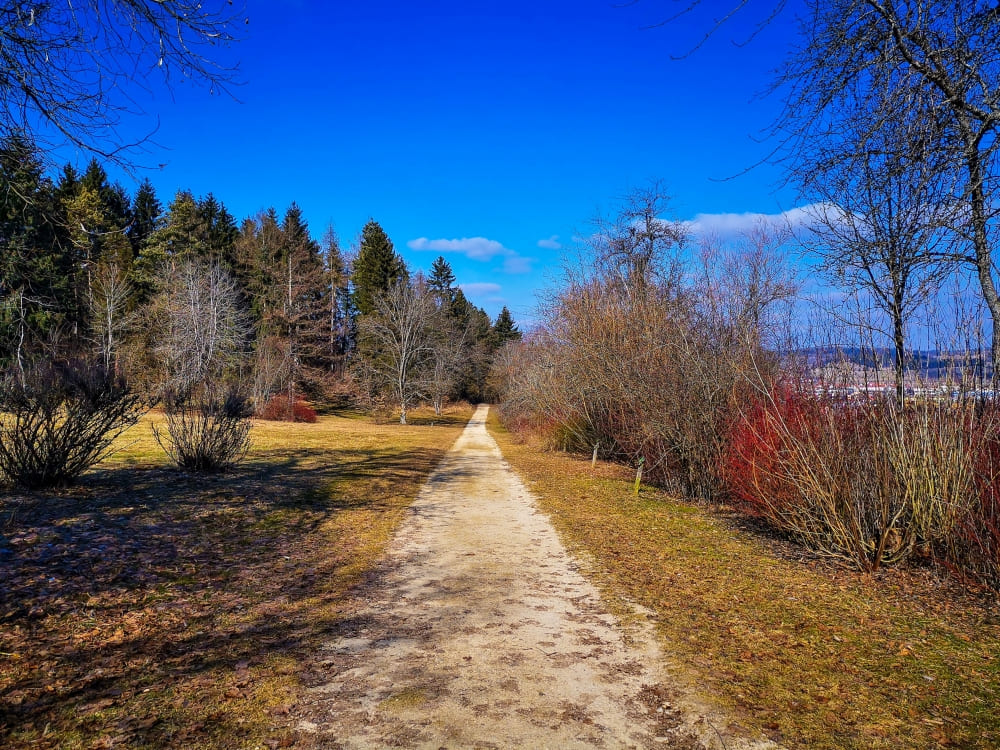 Hochgehütet - Start der Wanderung