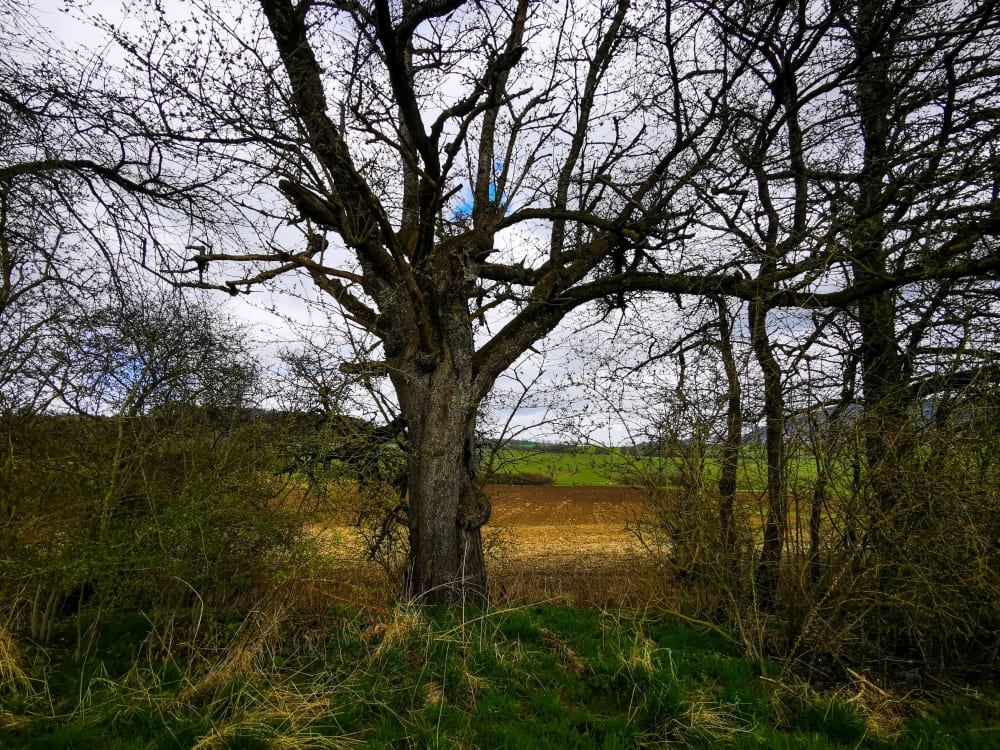 Planetenwanderweg bis nach Mittelsdorf