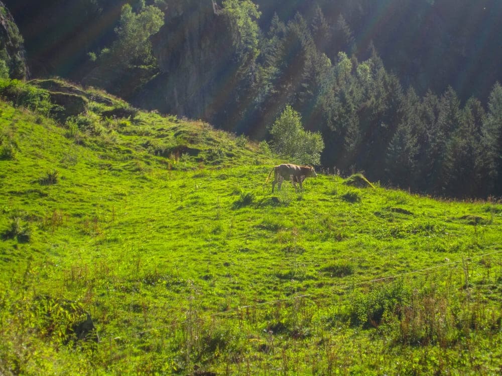 Unterwegs am Stillup-Stausee in Tirol