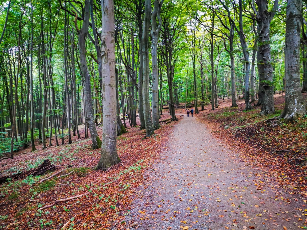 Wandern auf Rügen