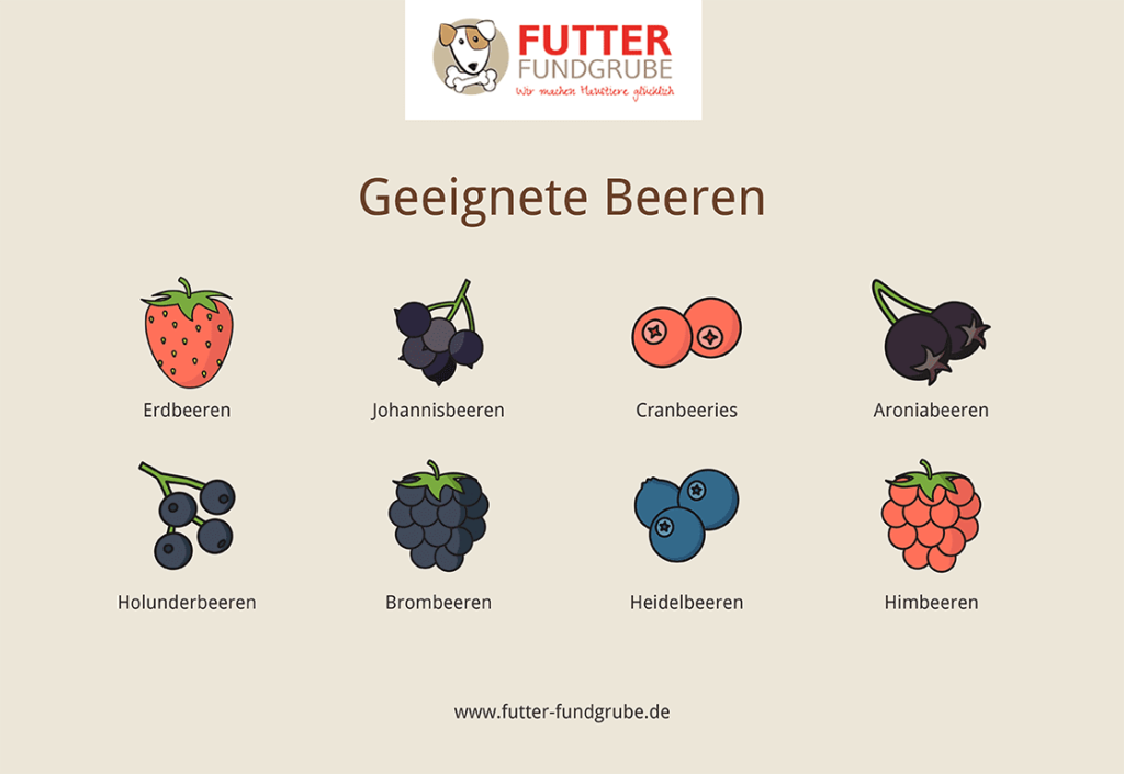 Beeren für Hunde