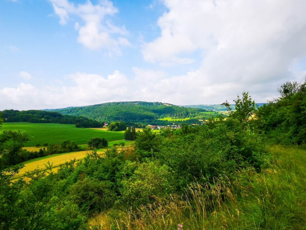 Sommer in der Thüringer Rhön