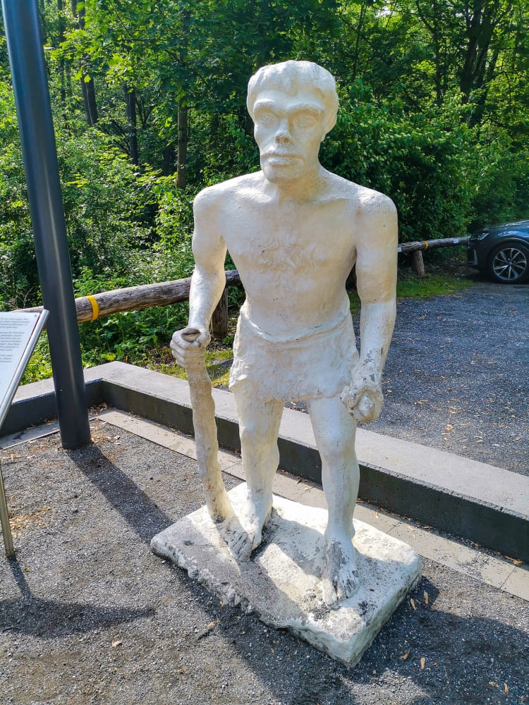 Neandertal Inhaltsverzeichnis
