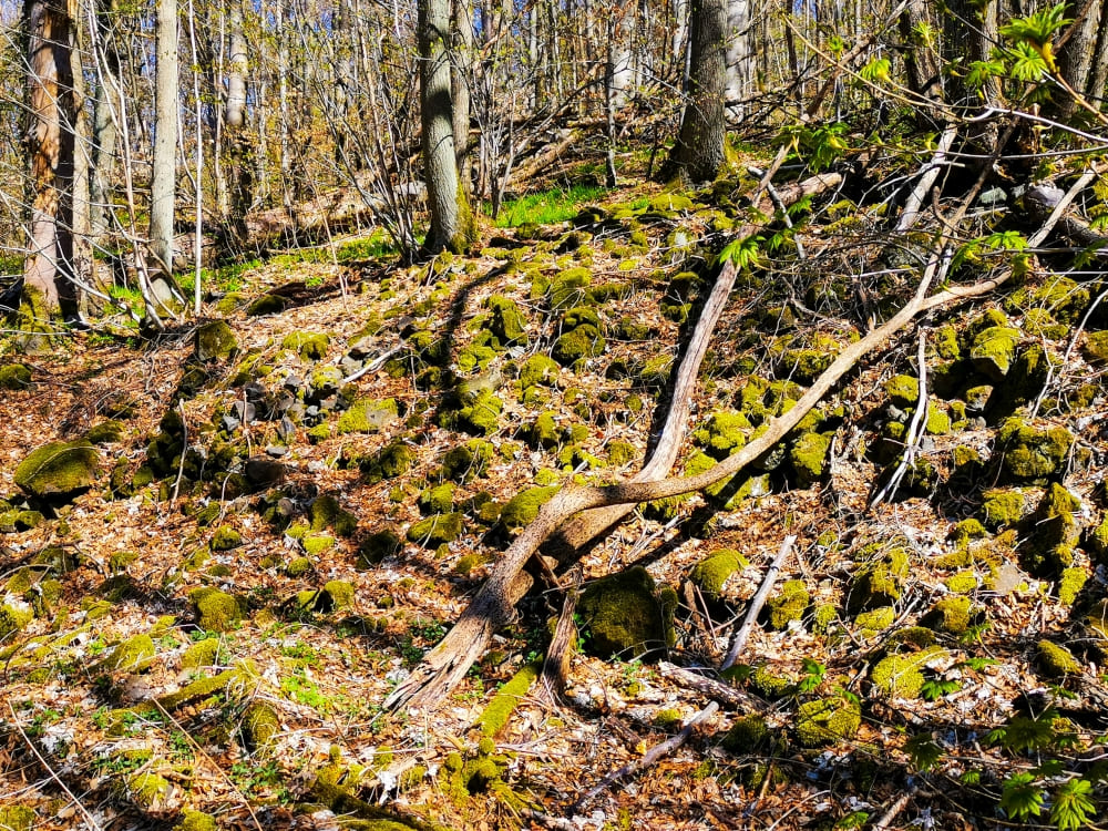 Die Geschichte der Steinsburg