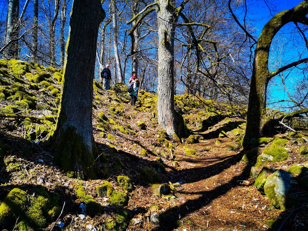 Steinsburg - Bergab über den Ostaufstieg