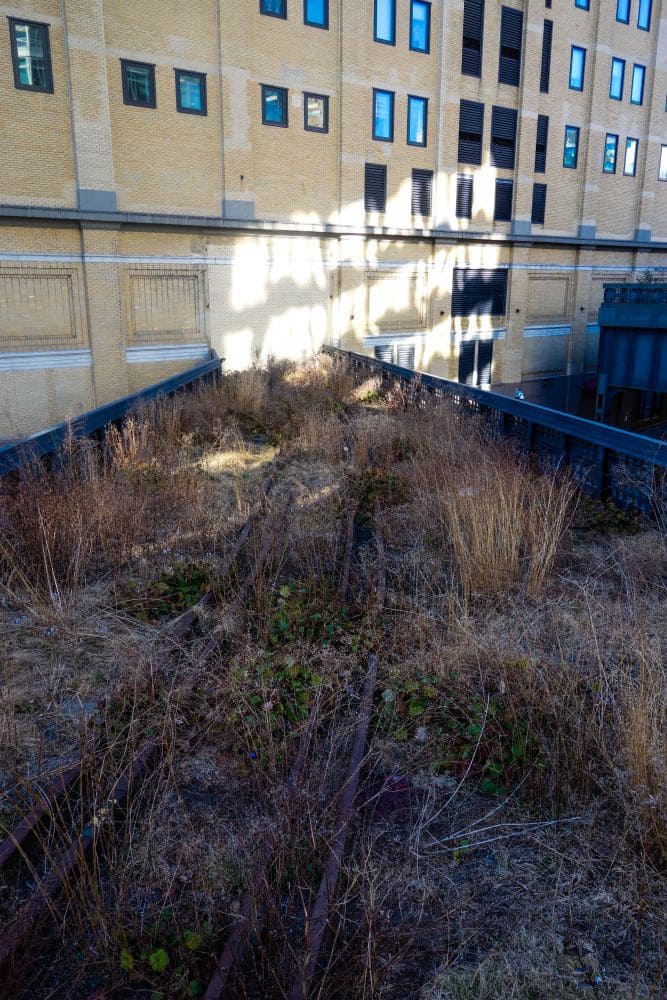 Kunst im Highline Park
