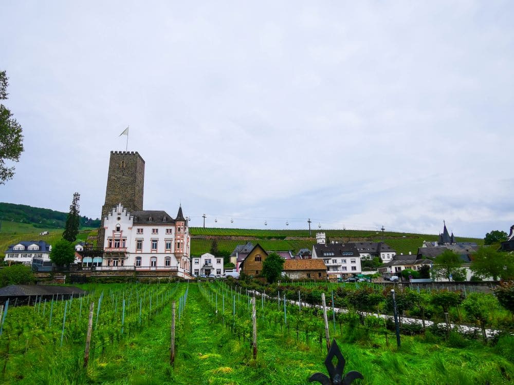 Die Brömserburg in Rüdesheim
