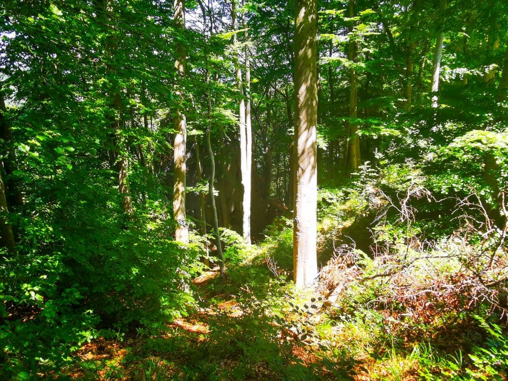 Unterwegs zur Felsformation Steinernes Weib