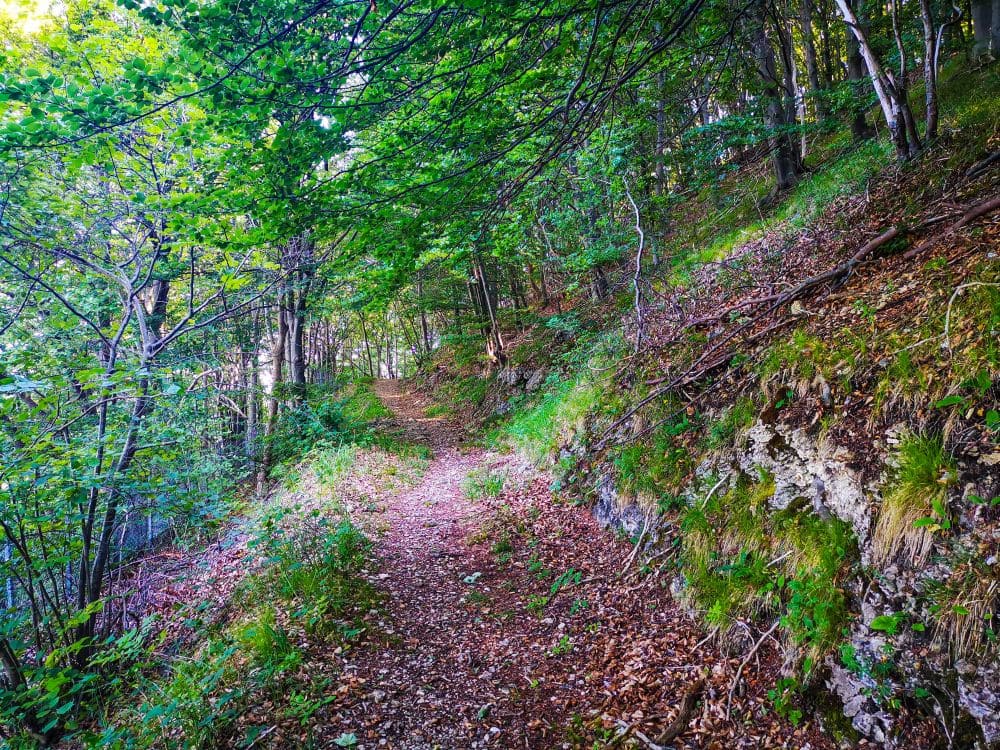 Von der Felsformation Steinernes Weib hinab ins Tal