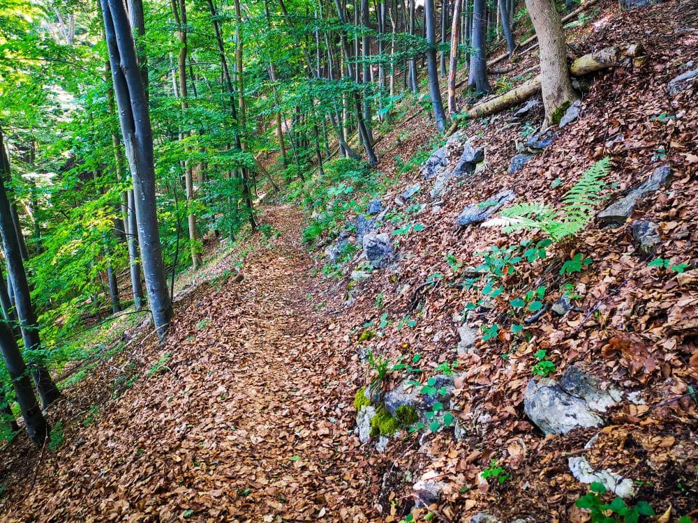 Von der Felsformation Steinernes Weib hinab ins Tal