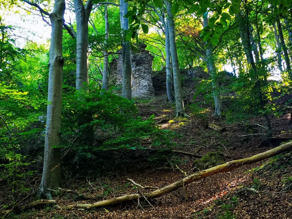 Von der Felsformation Steinernes Weib hinab ins Tal