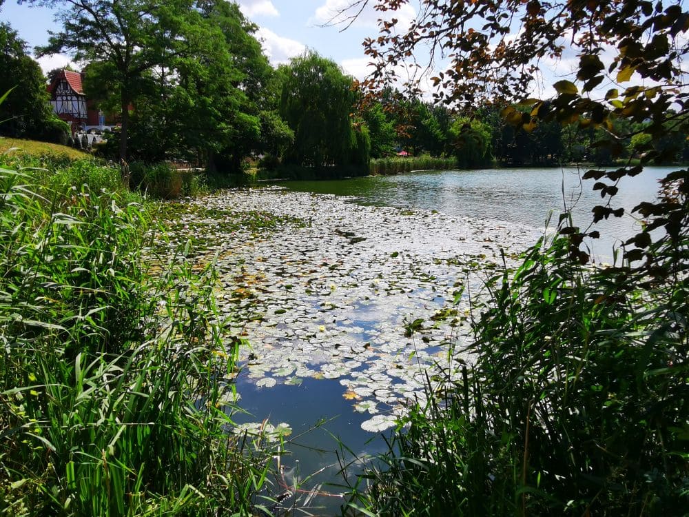 Der Burgsee in Bad Salzungen