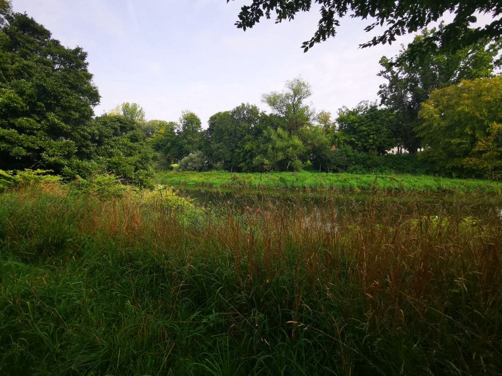 Wanderung entlang der Donau