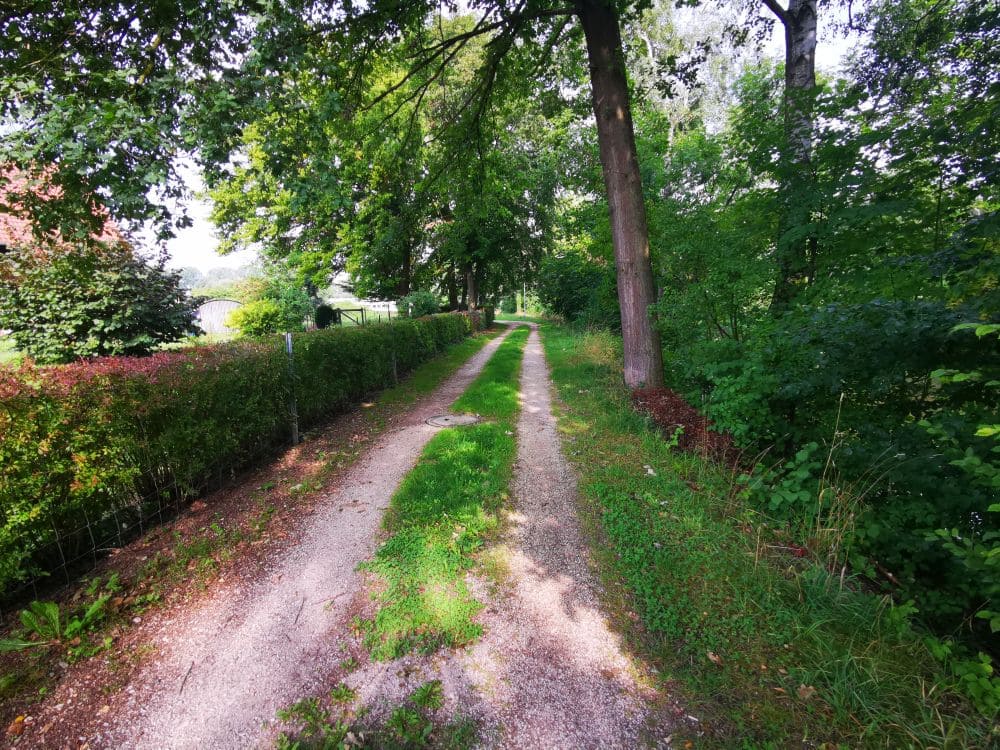 Wanderung entlang der Donau