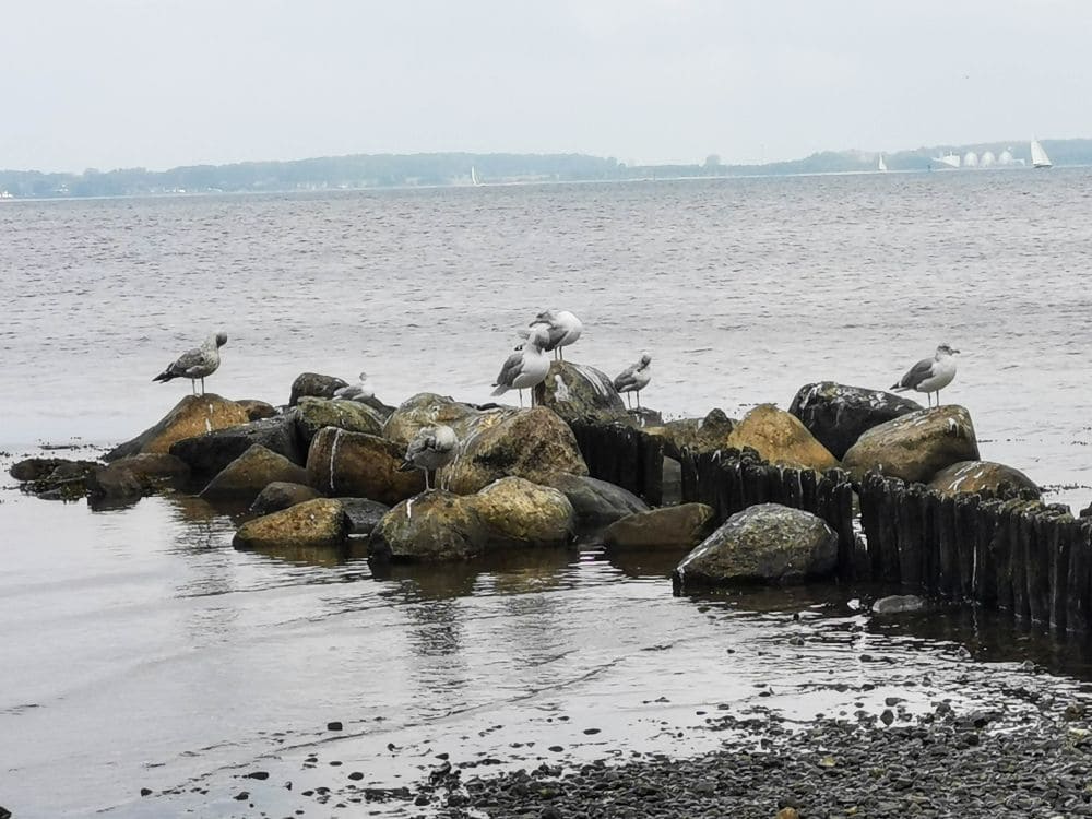 Lohnt sich ein Besuch in Laboe