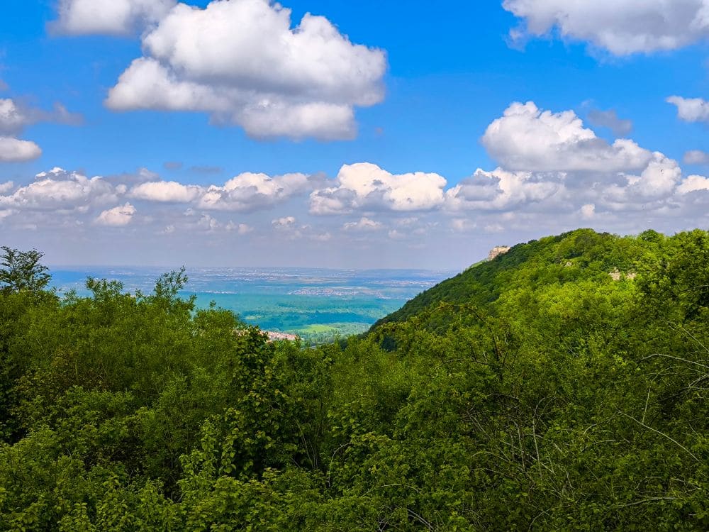 Aussichtspunkt und Kunstobjekt Die Brille am hochgehsiedelt