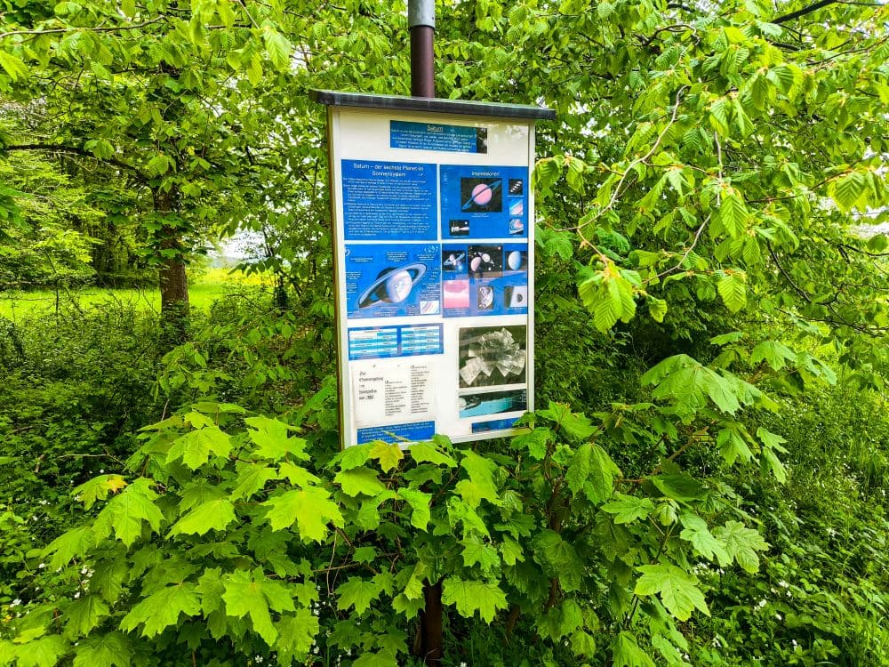 Der Rückweg am Premiumwanderweg hochgehsiedelt