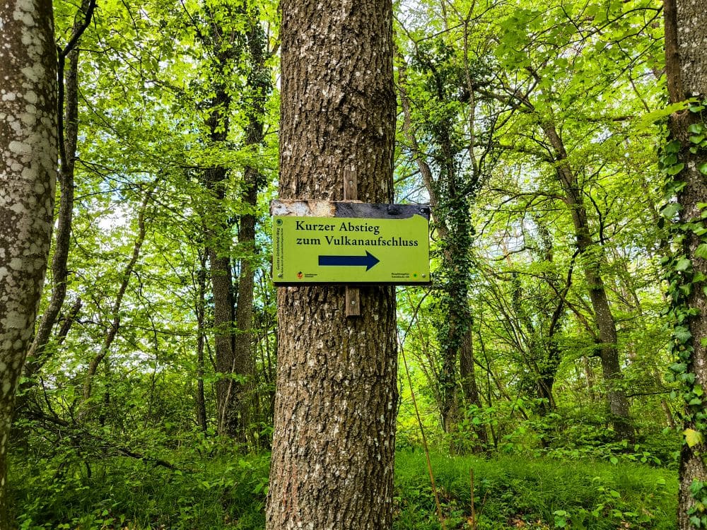 Vulkanaufschluss am Premiumwanderweg hochgehsiedelt
