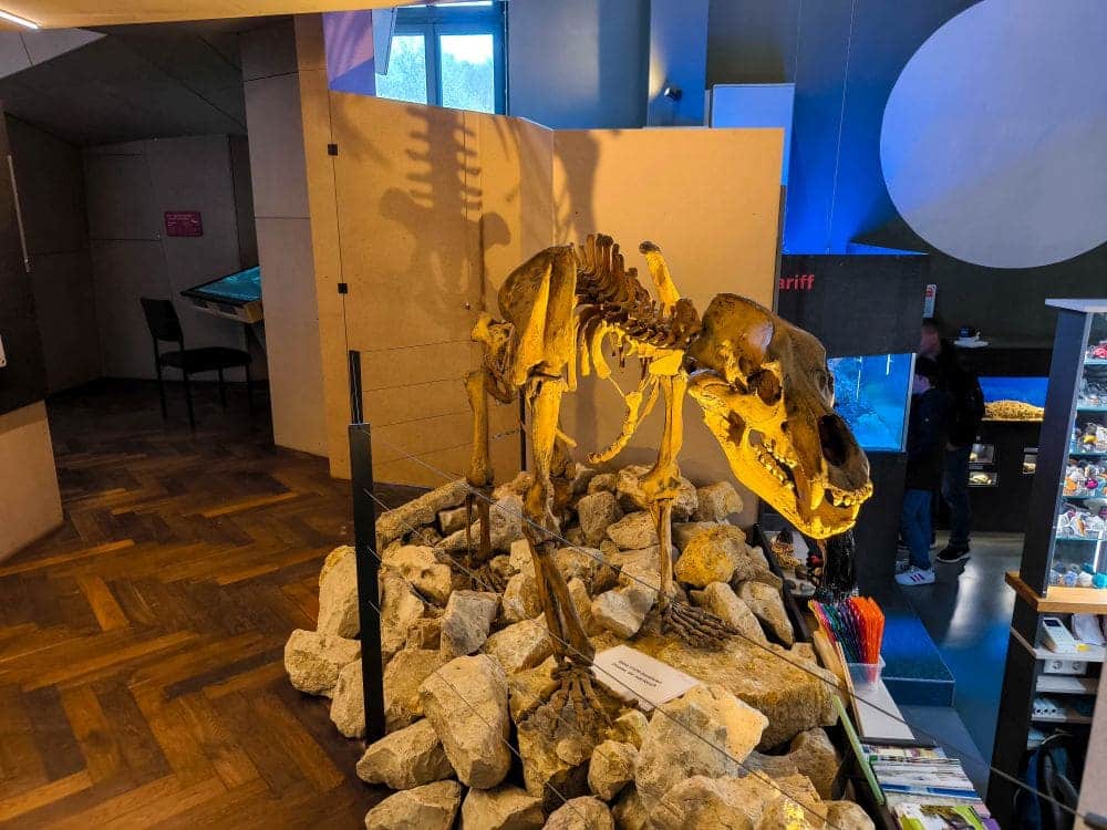 Das HöhlenSchauLand der Charlottenhöhle