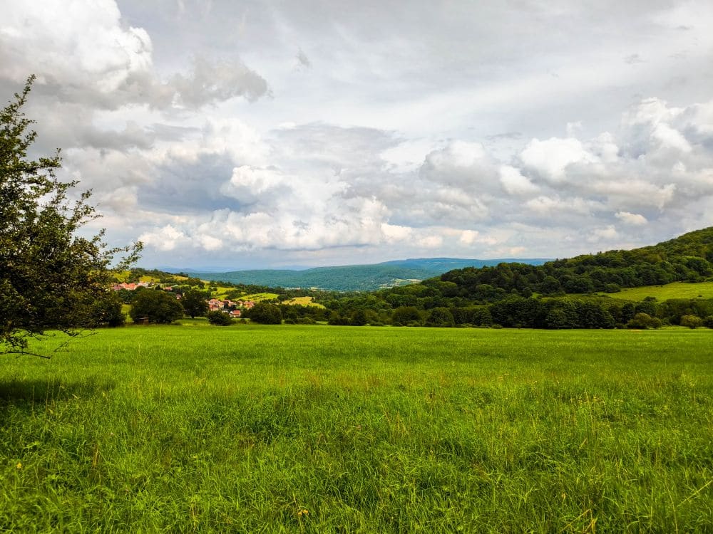 Ausblick auf den Großen Inselsberg auf der Wanderung zum Grenzturm am Horbel