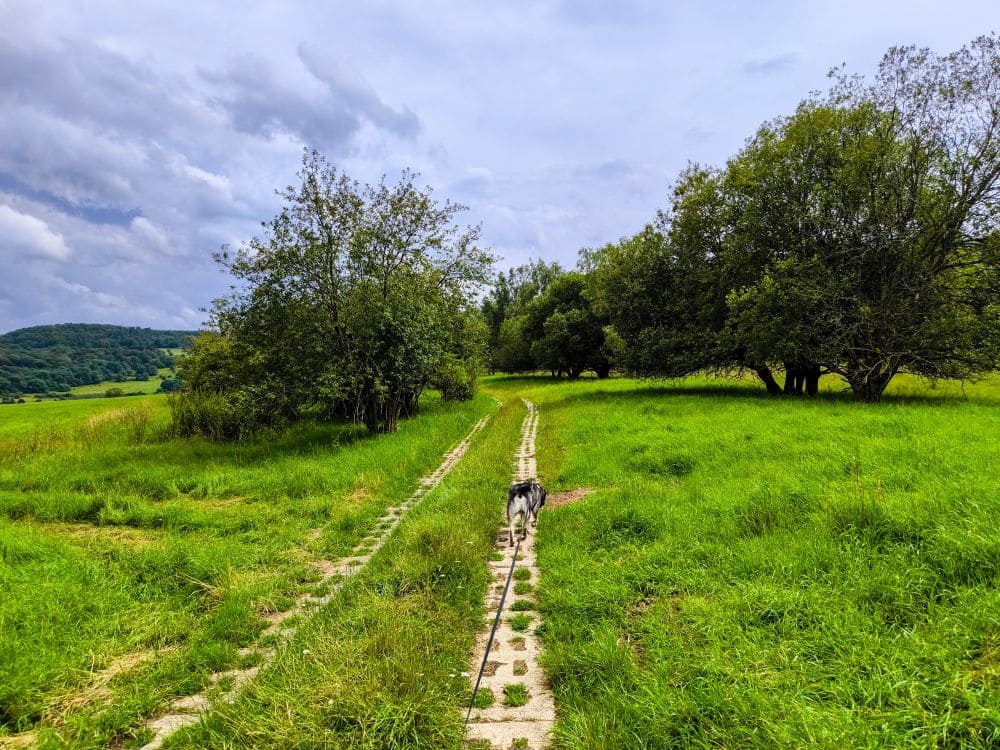 Unterwegs auf der Wanderung zum Grenzturm am Horbel