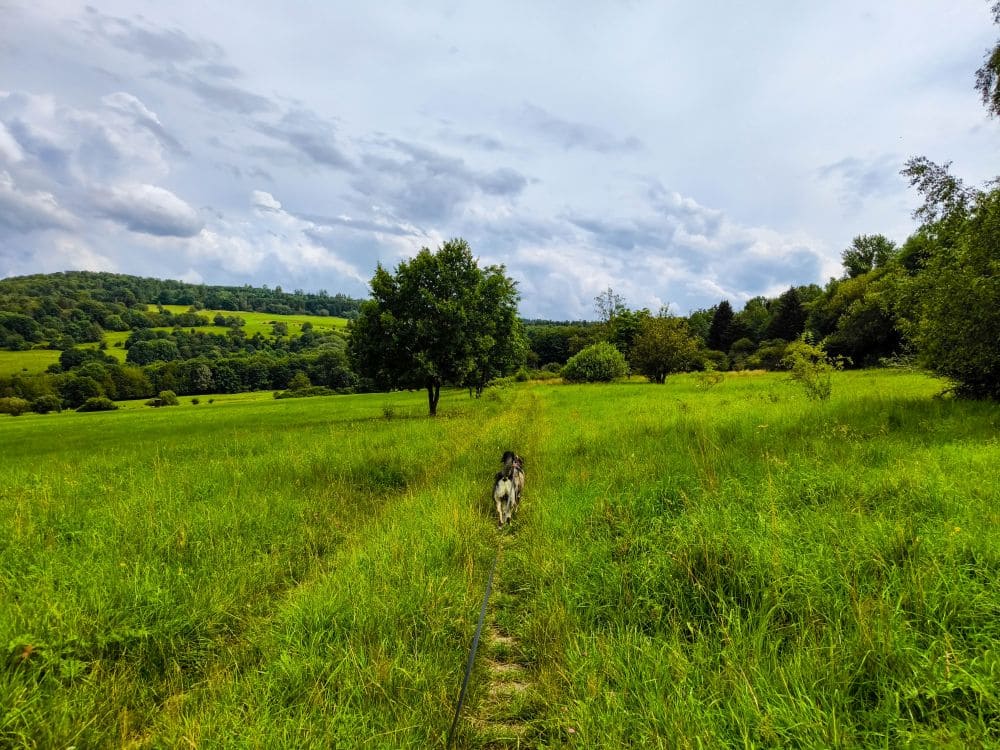 Unterwegs auf der Wanderung zum Grenzturm am Horbel