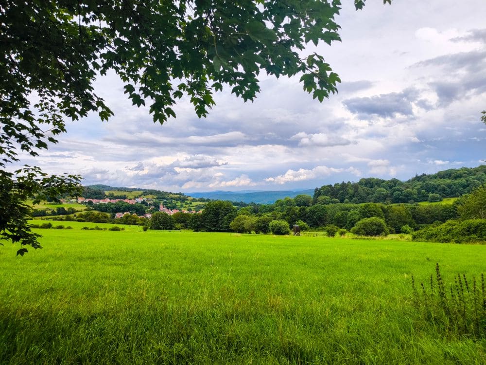 Unterwegs auf der Wanderung zum Grenzturm am Horbel