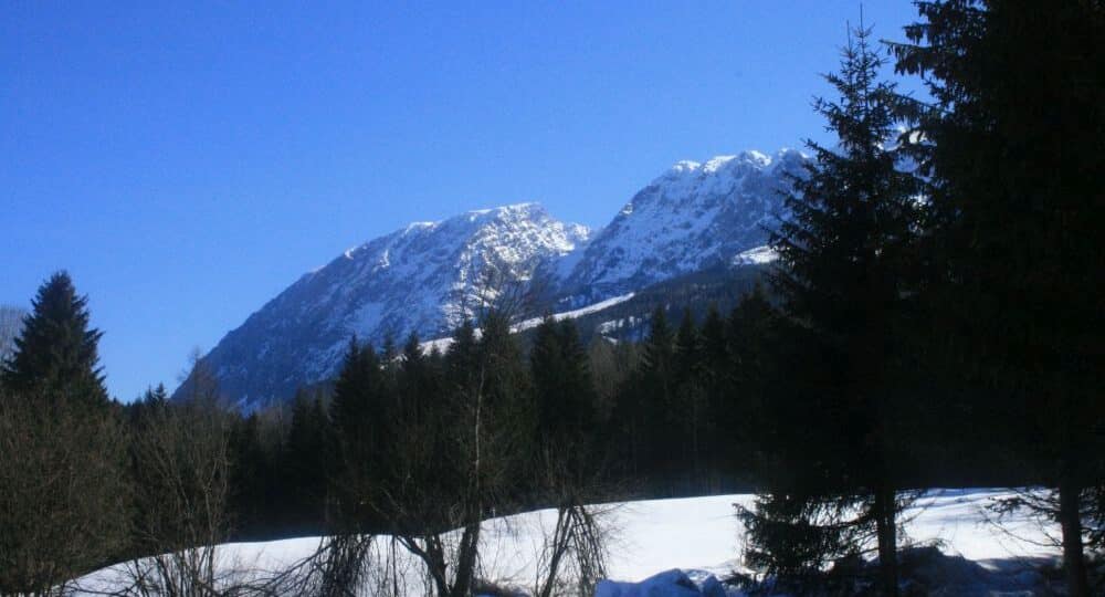 Eine Winterwanderung in Bad Mitterndorf - Naturerlebnis in der verschneiten Steiermark