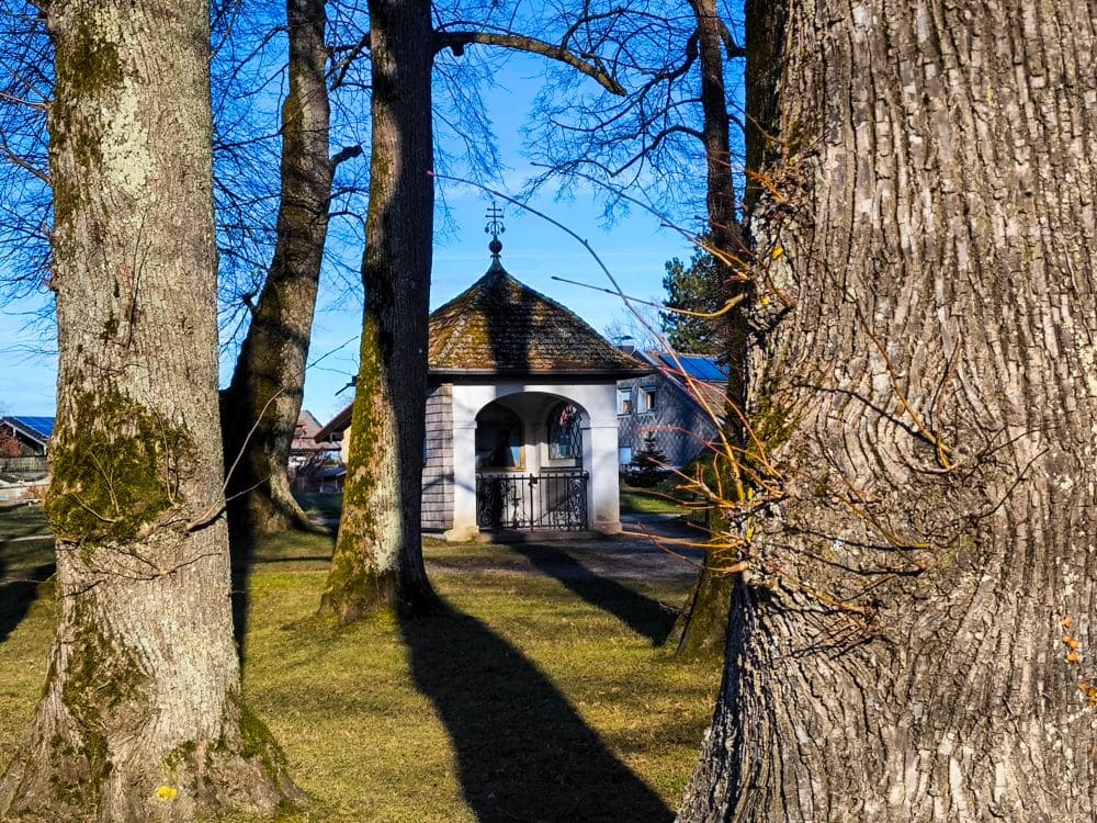 Eine kleine weiße Kapelle mit Ziegeldach steht hinter hohen Bäumen mit dicken Stämmen und erinnert an die ruhige Landschaft des Chiemsees. Der Himmel ist klar und blau und die Kapelle wird von kahlen Ästen eingerahmt, was an eine Winter- oder Frühlingsumgebung erinnert.