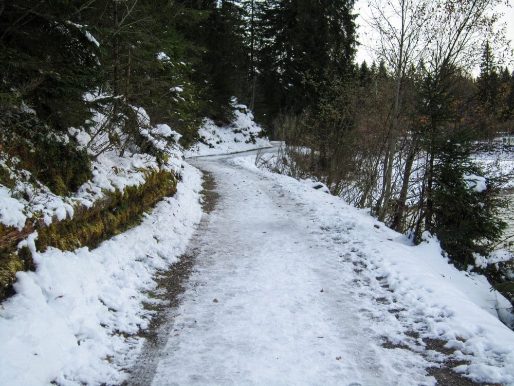 Ein schmaler, schneebedeckter Pfad, der an eine winterliche Wanderung erinnert, schlängelt sich durch die Waldlandschaft nahe dem Tannheimer Tal, gesäumt von Bäumen auf beiden Seiten. Der Boden ist eine Mischung aus Schnee- und Erdflecken, während ein bedeckter Himmel ein gedämpftes Licht auf diese ruhige Szene wirft.