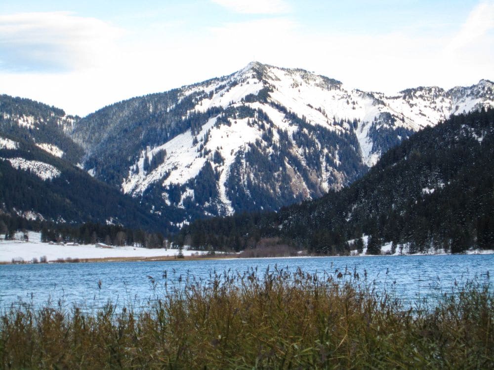In der Ferne erheben sich schneebedeckte Berge, teilweise bedeckt mit dunkelgrünen Wäldern. Im Vordergrund spiegelt der Haldensee den Himmel, und Schilf säumt das Wasser. Die ruhige Landschaft des Tannheimer Tals ist perfekt für eine winterliche Wanderung unter klarem, blauem Himmel.