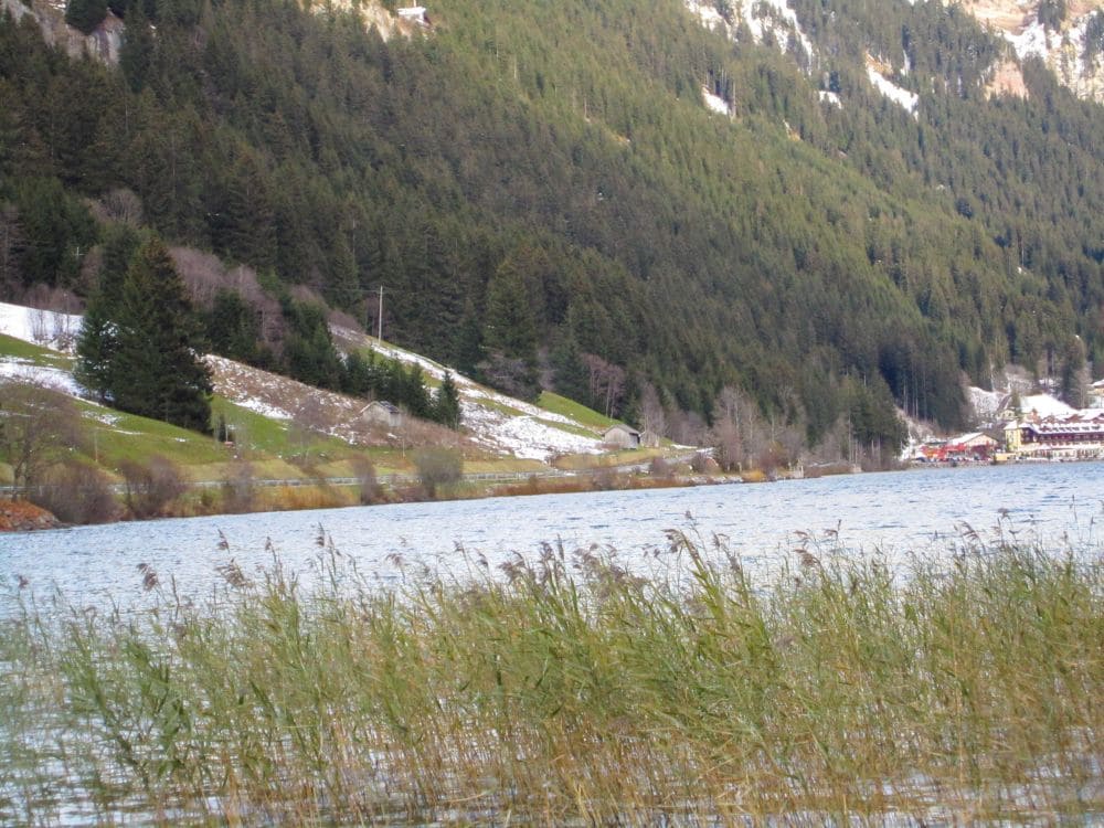 Ein ruhiger See mit Schilf im Vordergrund, umgeben von üppigen grünen Wäldern und teilweise schneebedeckten Hügeln. Im malerischen Tannheimer Tal offenbart der Haldensee rechts in der Ferne eine Ansammlung von Gebäuden, die zu einer ruhigen Winterwanderung einlädt.