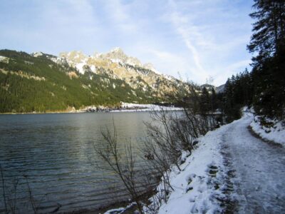 Ein ruhiger See, gesäumt von einem verschneiten Weg und immergrünen Bäumen, liegt eingebettet im Tannheimer Tal. Schroffe, schneebedeckte Berge erheben sich im Hintergrund unter einem strahlend blauen Himmel. Vereinzelte Büsche säumen das Ufer des Haldensees und unterstreichen die ruhige winterliche Wanderlandschaft.