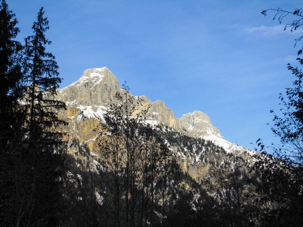 Schneebedeckte Berggipfel unter einem klaren blauen Himmel, eingerahmt von hohen Bäumen im Vordergrund, schaffen eine malerische und ruhige Landschaft, perfekt für eine winterliche Wanderung im Tannheimer Tal.