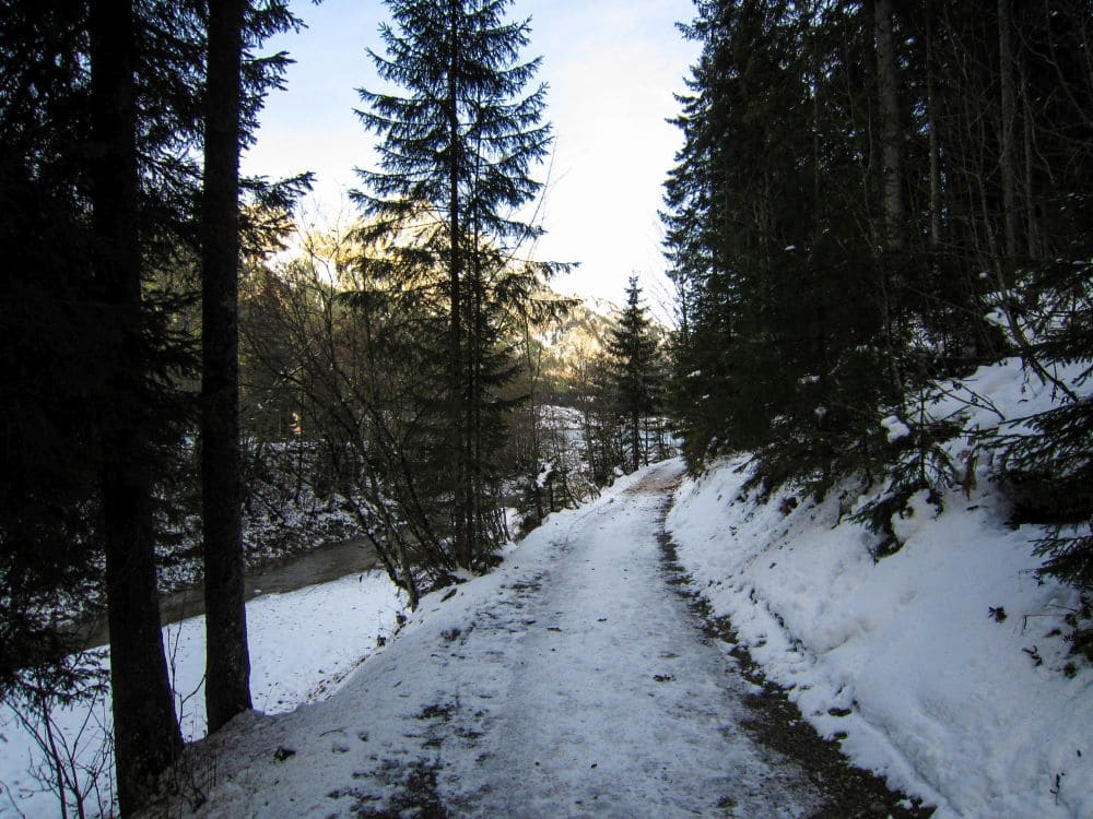 Ein schneebedeckter Weg schlängelt sich durch das Tannheimer Tal, gesäumt von hohen immergrünen Bäumen. Diese Winterwanderung führt Sie zu einem sanft fließenden Fluss unter leicht bewölktem Himmel und umgibt eine ruhige Winterlandschaft in der Nähe des ruhigen Haldensees.