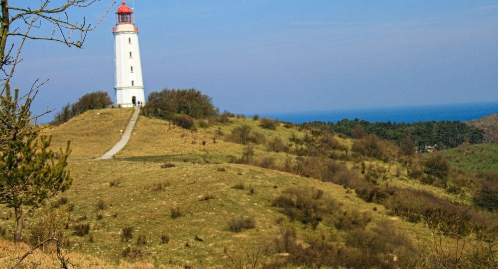 Ein hoher weißer Leuchtturm mit roter Spitze steht auf einem grasbewachsenen Hügel auf Hiddensee. Ein schmaler Pfad führt hinauf, umgeben von spärlichen Bäumen und Sträuchern. Im Hintergrund erstreckt sich das blaue Meer unter einem klaren Himmel und bietet einen ruhigen Küstenblick.