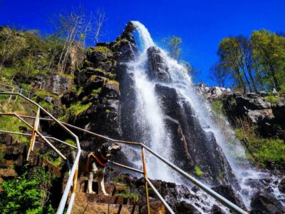 Ein Hund mit Geschirr steht auf Steinstufen neben einem Metallgeländer, während der Trusetaler Wasserfall unter einem klaren blauen Himmel eine Felsklippe hinunterstürzt, umgeben von grünen Bäumen.