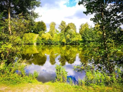 Eingebettet zwischen üppigen grünen Bäumen glitzern die Bürgerseen friedlich, und ihr klares Wasser spiegelt den strahlend blauen, wolkenverhangenen Himmel wider. Im Vordergrund ist ein mit Gras bewachsenes Ufer mit verstreuten Büschen und Pflanzen geschmückt, die diese ruhige Szenerie vervollständigen.