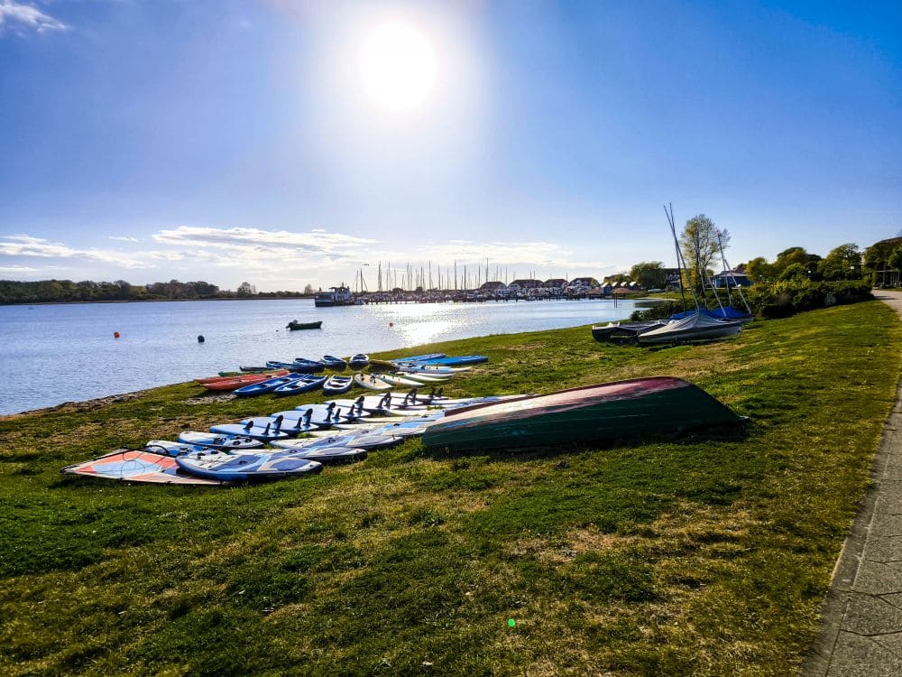 Paddleboards und Kajaks liegen im hellen Sonnenlicht auf dem Gras am ruhigen Ufer des Salzhaffsees. In der Ferne liegen Segelboote unter dem klaren blauen Himmel vor Anker – perfekt für einen erholsamen Urlaub in Rerik.