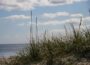 Hohes Gras wiegt sich auf einer Sanddüne in Hurup und bietet einen atemberaubenden Blick auf das Meer im Hintergrund. Der Himmel ist blau mit vereinzelten weißen Wolken und schafft eine ruhige und heitere Strandatmosphäre.