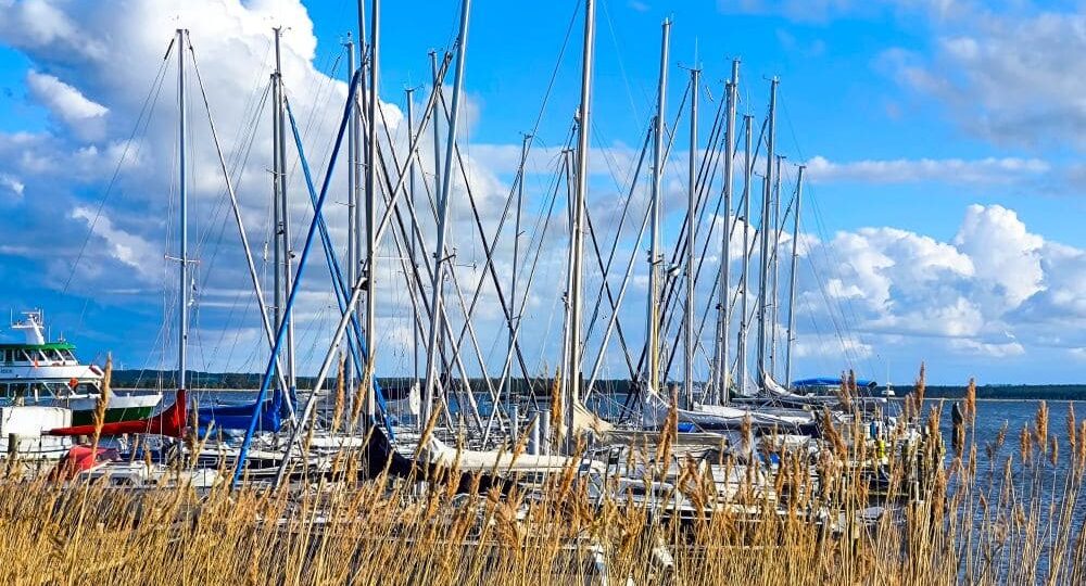 Mehrere Segelboote liegen in einem Yachthafen am Salzhaff. Hohe Masten ragen vor einem strahlend blauen Himmel empor. Hohes Gras säumt den Wasserrand und vermittelt die friedliche Atmosphäre eines Urlaubs in Rerik, einem charmanten Ostseebad.