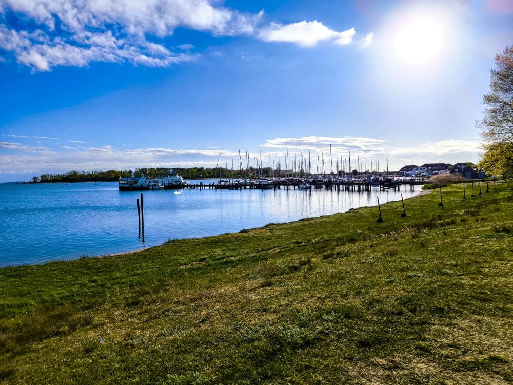 Ein grasbewachsener Uferstreifen führt zum ruhigen Salzhaff im Ostseebad, wo ein Yachthafen voller Segelboote unter strahlendem Sonnenschein und blauem Himmel glitzert. Bäume und Gebäude runden dieses perfekte Urlaubsbild in Rerik ab.