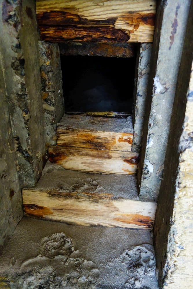 Verwitterte und teilweise mit Sand bedeckte Holzstufen führen in eine dunkle, von rauem Beton umrahmte Bunkeröffnung - ein stummer Zeuge der Geschichte an der dänischen Küste, gezeichnet von Rost, Feuchtigkeit und jahrelangem Verschleiß durch die Küste.