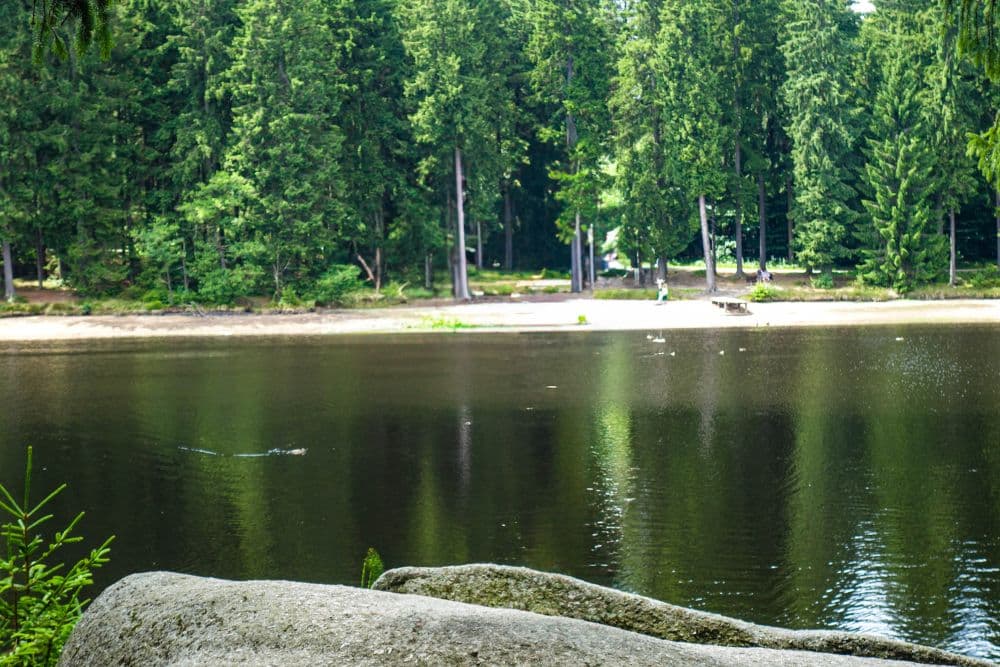 Ein ruhiger See, bekannt als Fichtelsee, gesäumt von dichtem grünen Wald, mit einem sandigen Ufer im Hintergrund und großen Felsen im Vordergrund bei hellem Tageslicht.