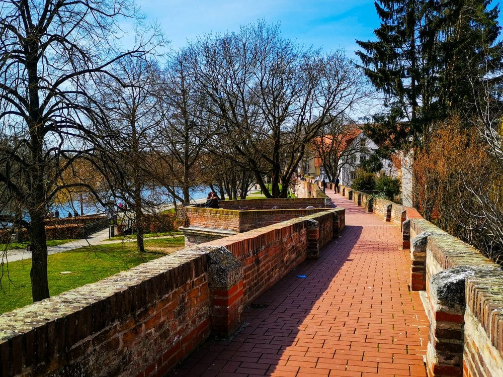 Ein roter Ziegelsteinweg mit alten Steinmauern schlängelt sich durch blattlose Bäume entlang des Flusses in Ulm und führt zu Häusern und einem klaren blauen Himmel an einem sonnigen Tag.