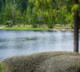 Ein großer Felsen liegt neben dem ruhigen Fichtelsee, der von dichten grünen Bäumen gesäumt wird. Im Hintergrund spazieren ein paar Menschen auf einem Weg in der Nähe des Ufers.